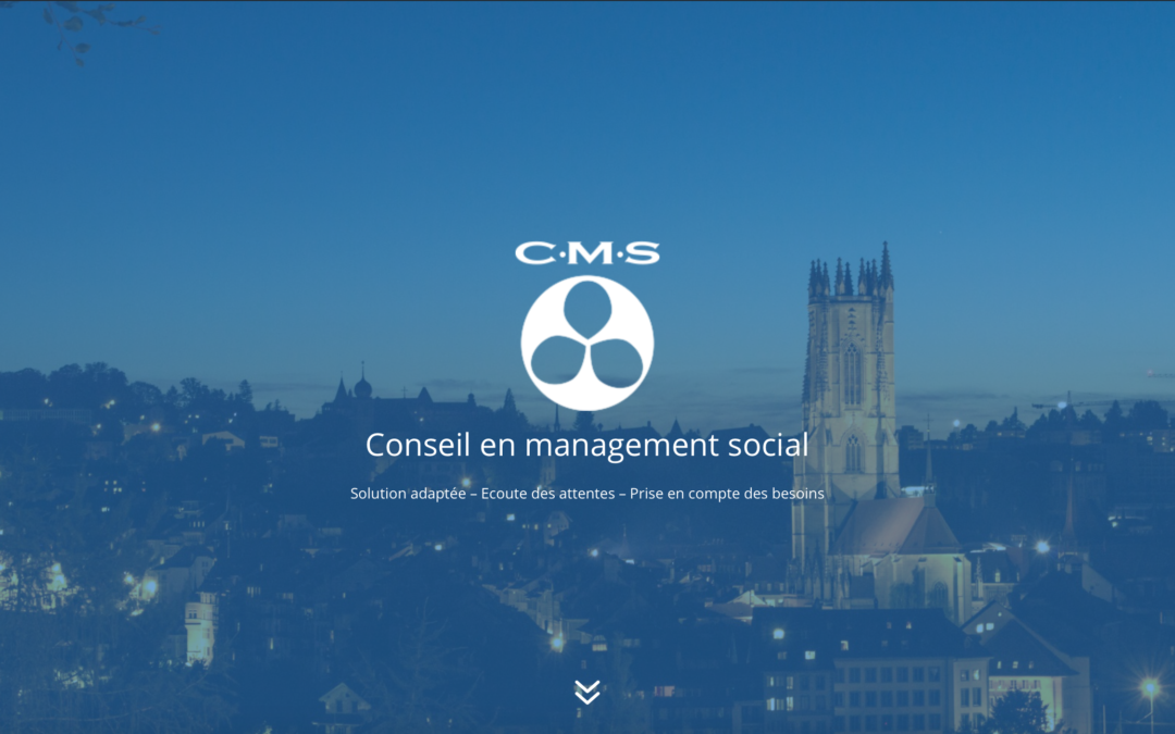 Conseil Management Social